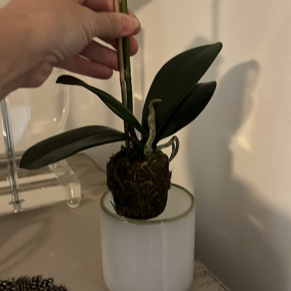 Home decor - Picture 2 of 3